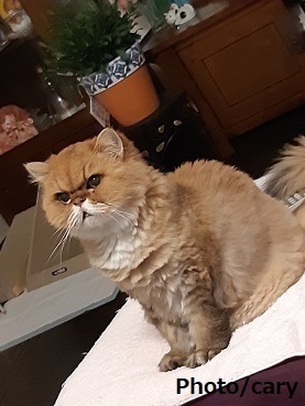 20190725_203144.jpg