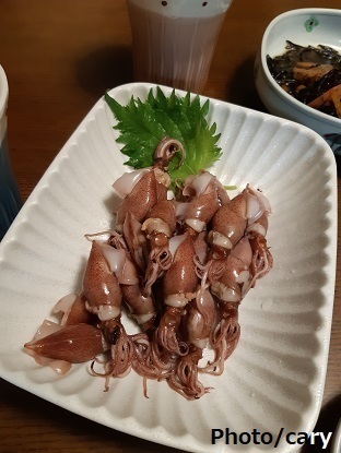 ほたるいか2.jpg