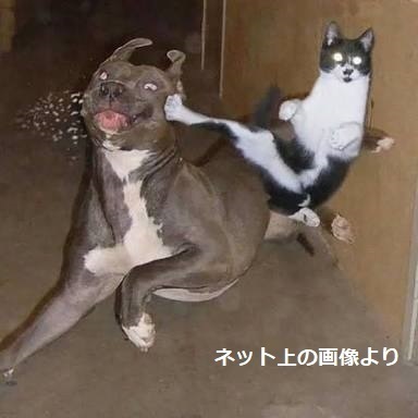 気を付けよう.jpg