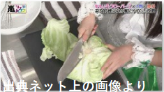 キャベツ.png
