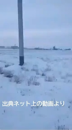 マイナス５３℃のロシア、動物たち生きたまま凍ってしまうと.jpg