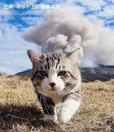 猫さん、煙を出す.jpg